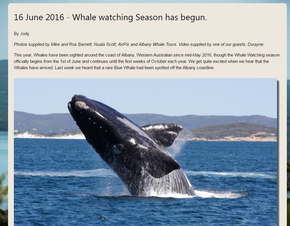 A link to take you to the blog about Whales.
