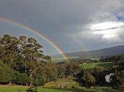 A lovely double rainbow over Karri trees in the valley below.