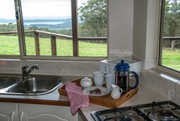 The chalets have a coffee plunger and a supply of coffee and tea bags.